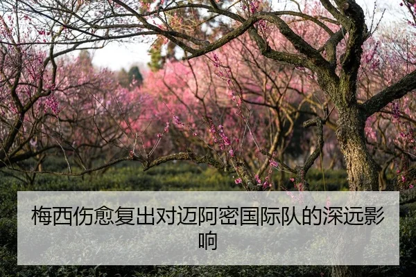 梅西伤愈复出对迈阿密国际队的深远影响
